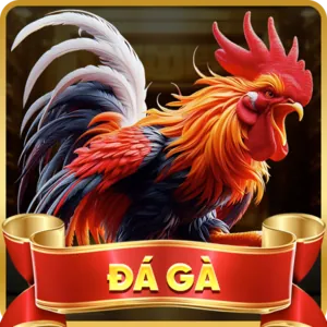 An toàn và đáng tin cậy